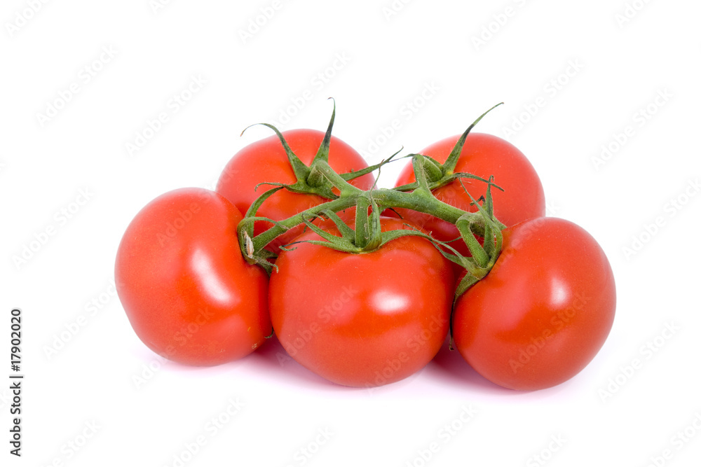 Tomate