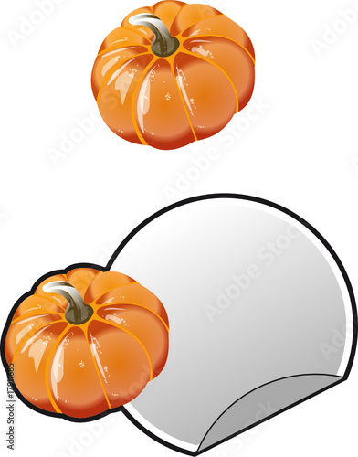 Zucca Halloween