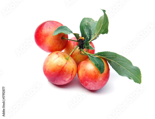 Mirabelle