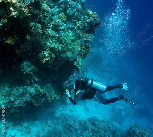 A diver floating over a coral reef in Red Sea
