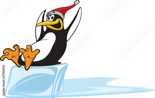 Sliding Penguin