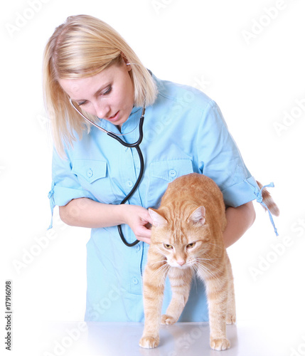 Veterinarian on white holding a orange cat