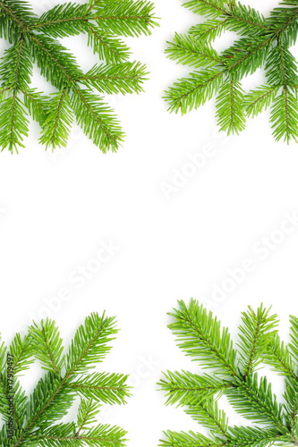 Christmas background with spruce tree frame