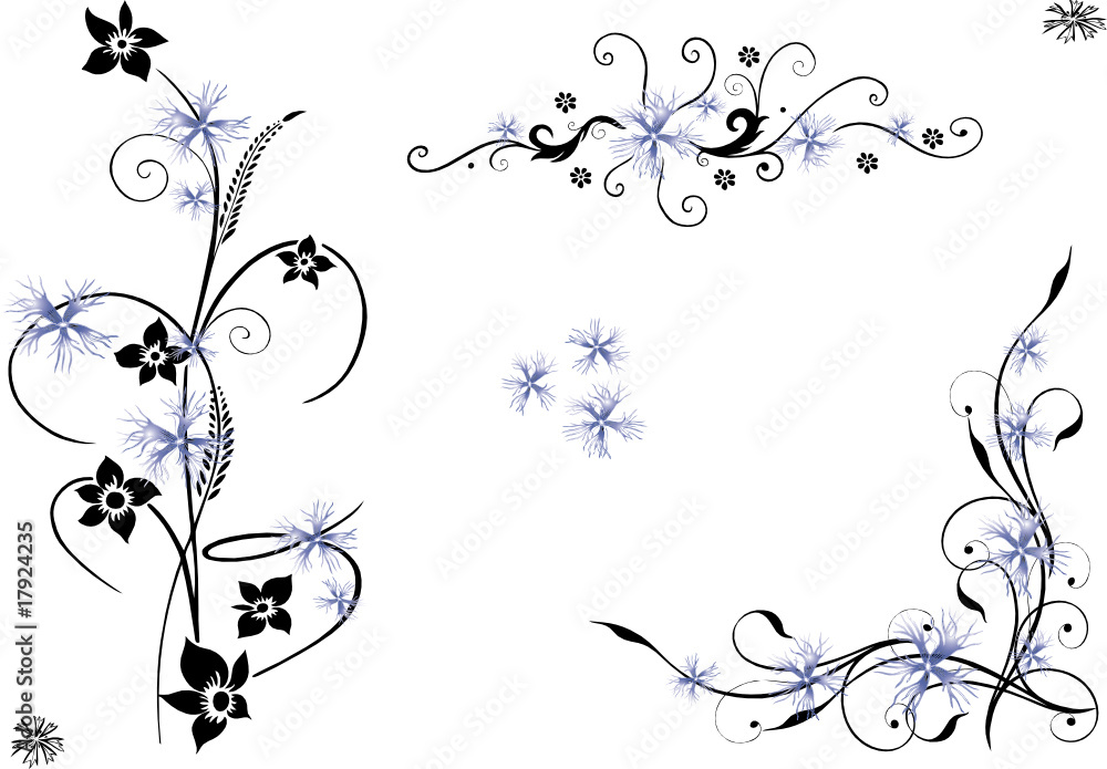 Ranke, floral, Blumen, Kornblume, Kornblumen Set Ranke, floral, Blumen, Kornblume, Kornblumen Set