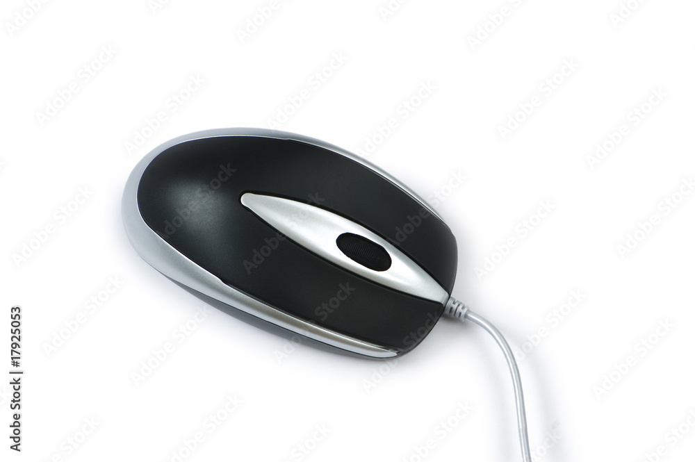 Computer mouse isolated on the white background Computer mouse isolated on the white background