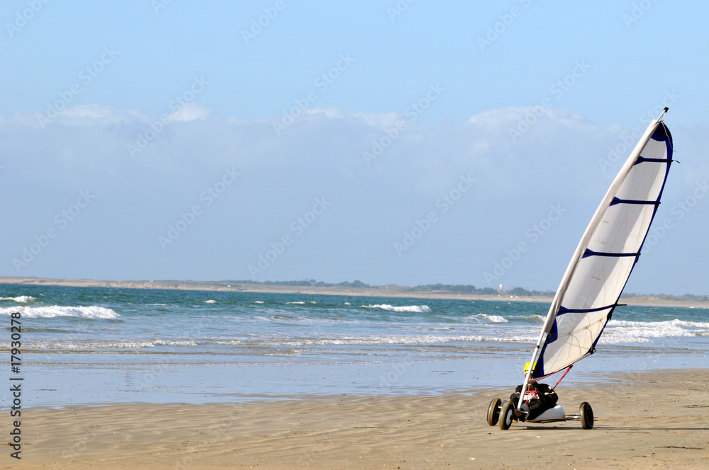 Fototapeta premium Glisse sur la plage