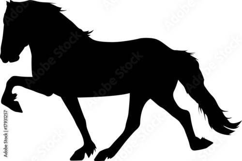 Toelt 05 - IcelandicHorse