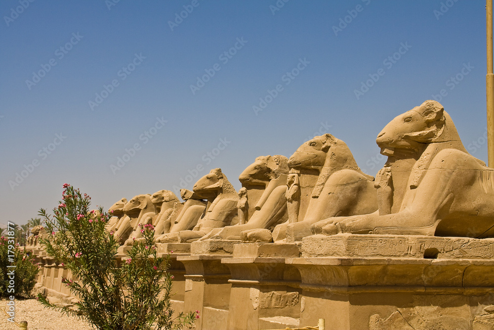 Sphinxallee in Karnak
