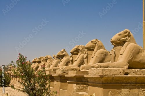Obraz na płótnie Sphinxallee in Karnak w salonie