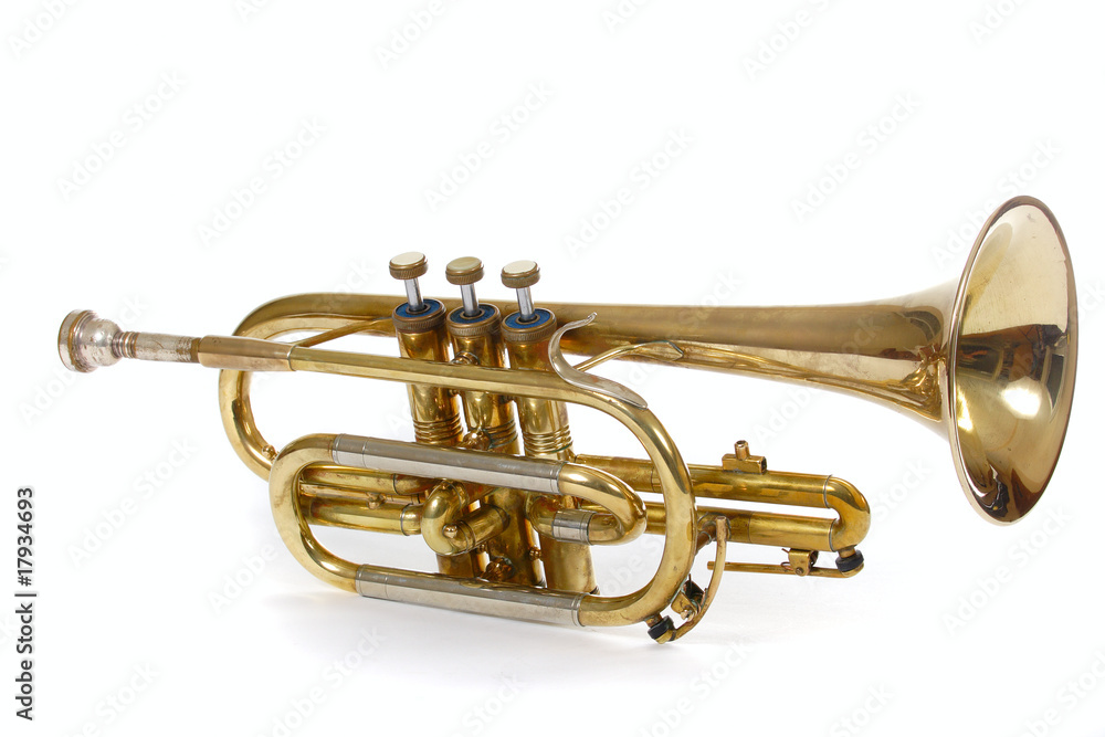 Fototapeta premium Trumpet