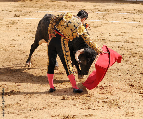 Matador & Bull on the Ground