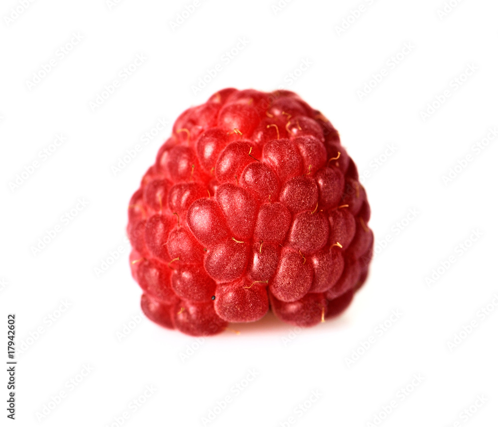 raspberry - isolated shot raspberry - isolated shot