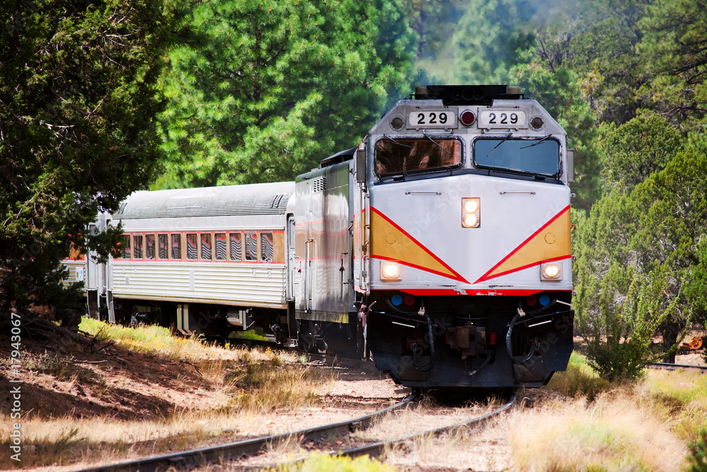 Fototapeta premium Vintage Train