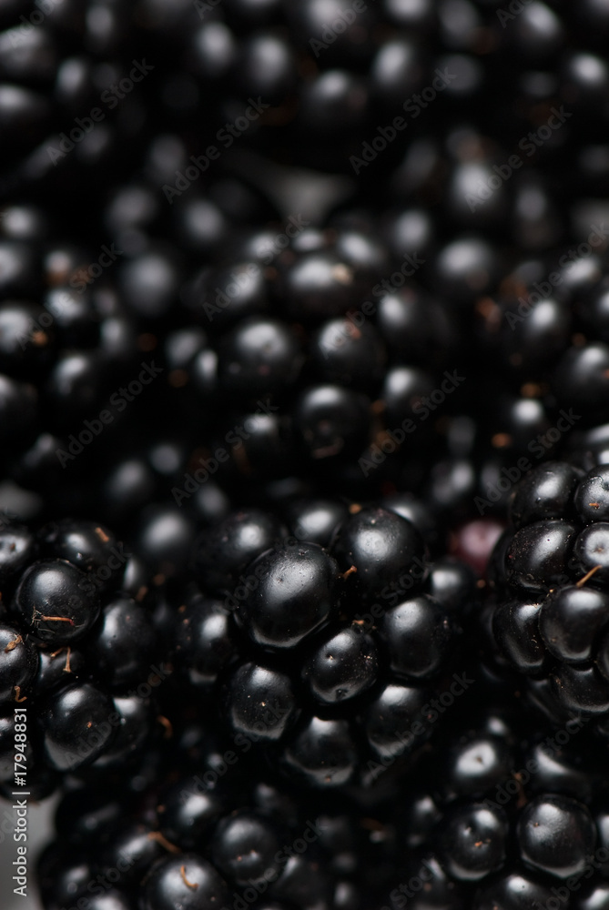 blackberry blackberry