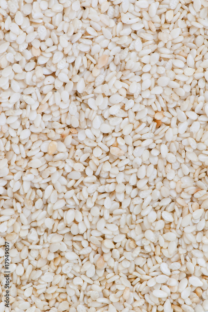 sesame sesame