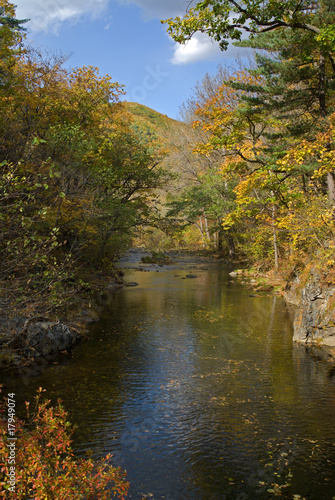 Woodsy river at autumn 3