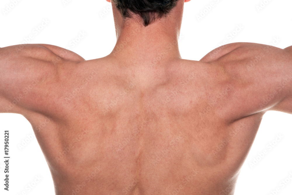 Mans back Mans back