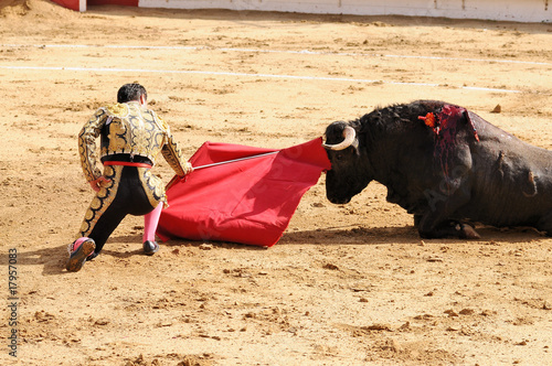 Matador & Bull on Ground