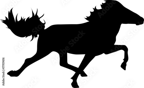 Pace06 - Icelandic Horse