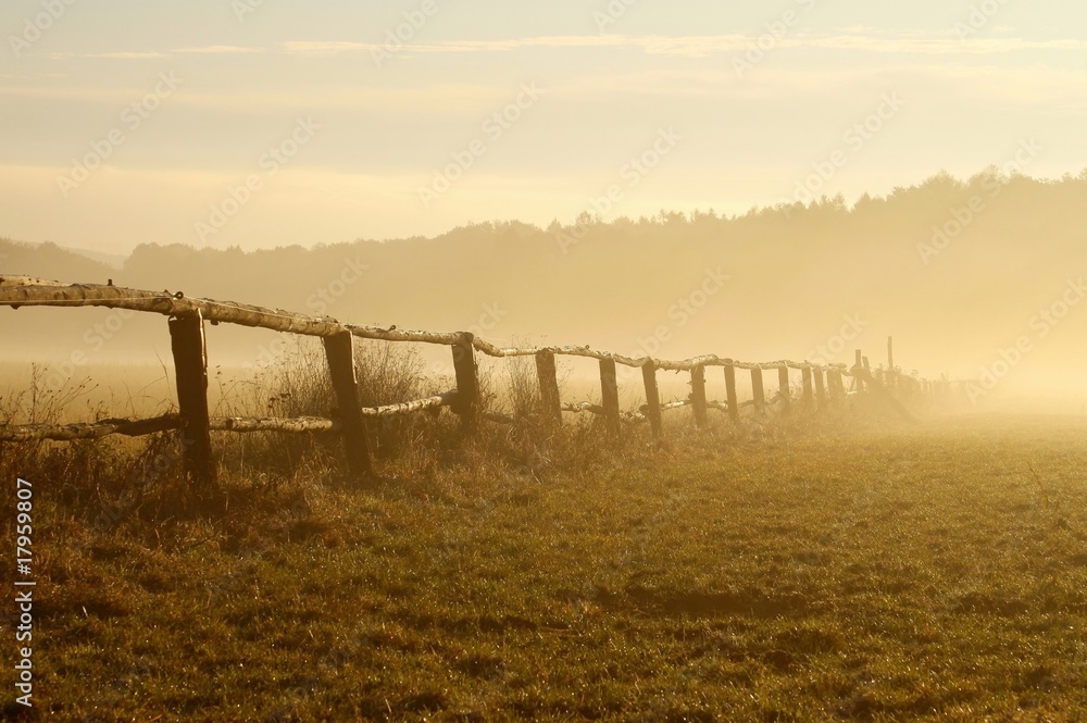 Morning mist hovering over the field at sunrise