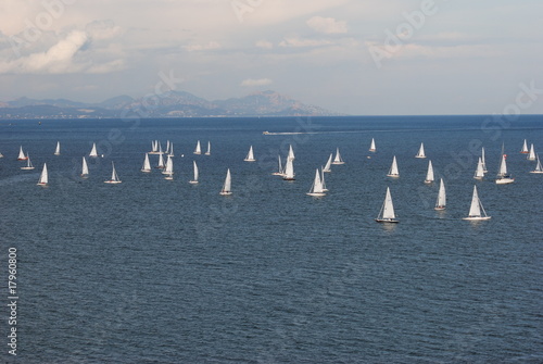 voile et liberte photo