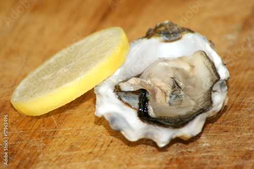 fresh raw organic oyster from the irish west coast