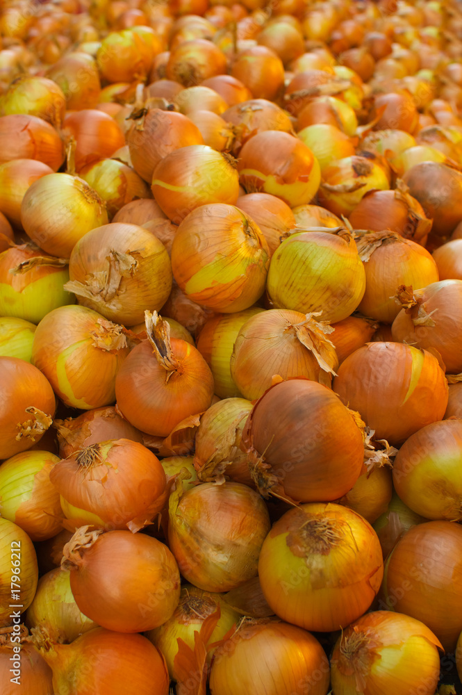 Huge Pile of Yellow Onions Huge Pile of Yellow Onions