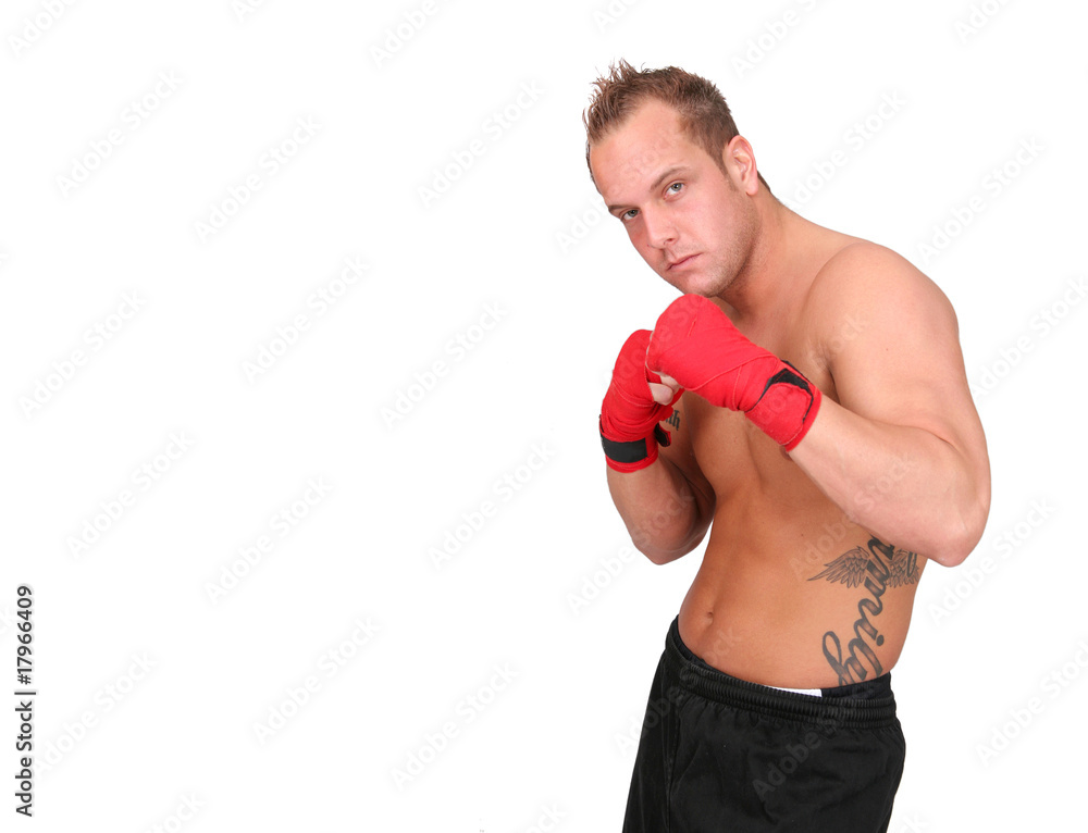 Man in Boxing Stance
