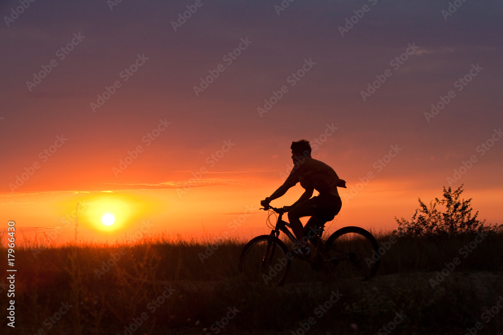 summer cyclist summer cyclist