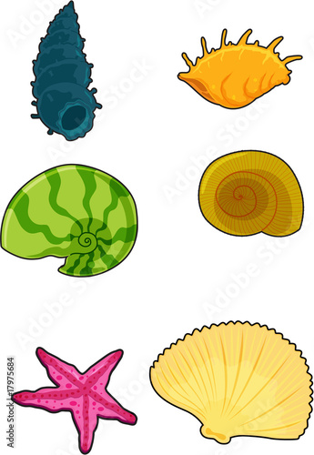sea shells