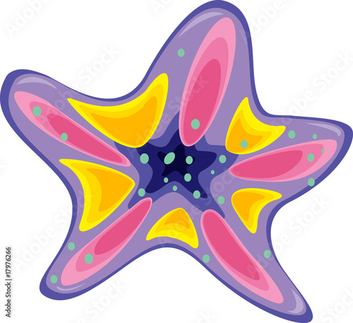 sea star fish