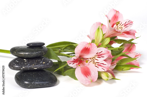 Spa still life with wild pink orchid over on white background