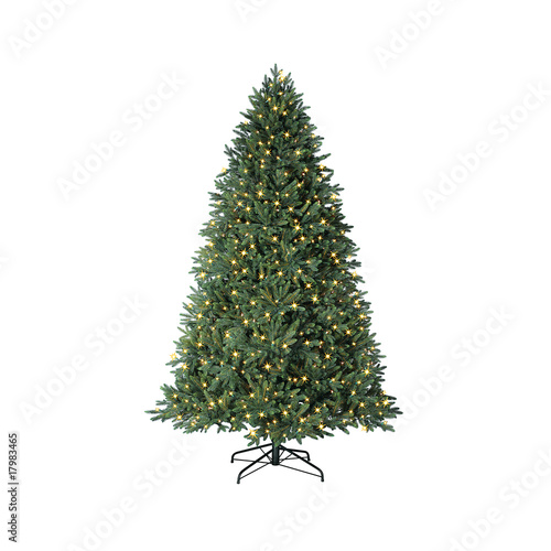 green christmas tree photo
