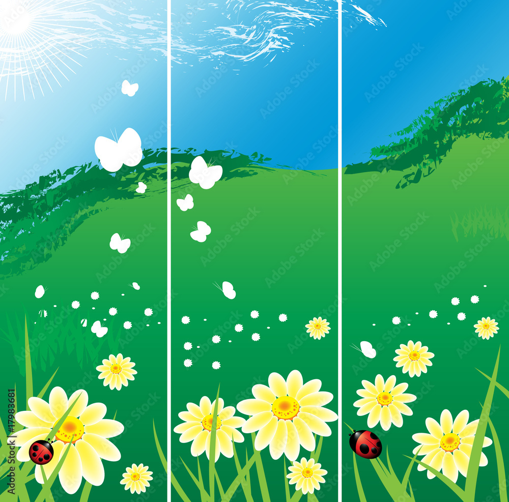 Fototapeta premium Summer background