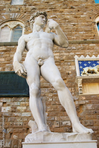 Statue of David in Florence, vertical