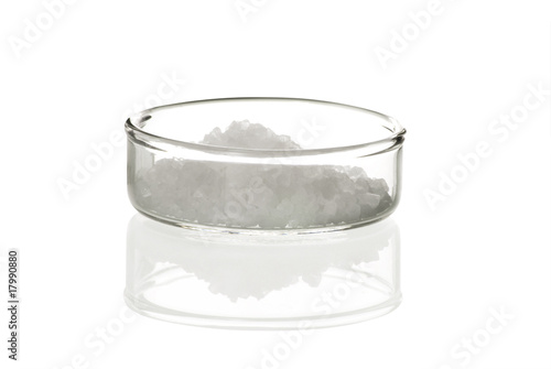 Petri dish and salt