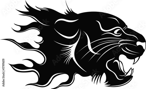 black tiger