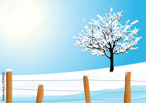 Winter landscape with tree