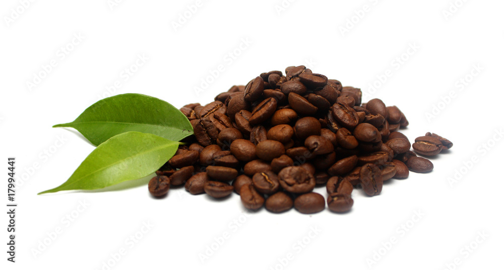 Coffee beans isolated on white Coffee beans isolated on white