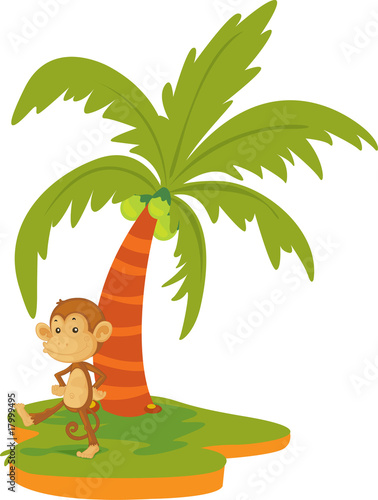 monkey