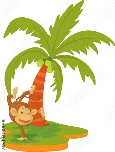 monkey