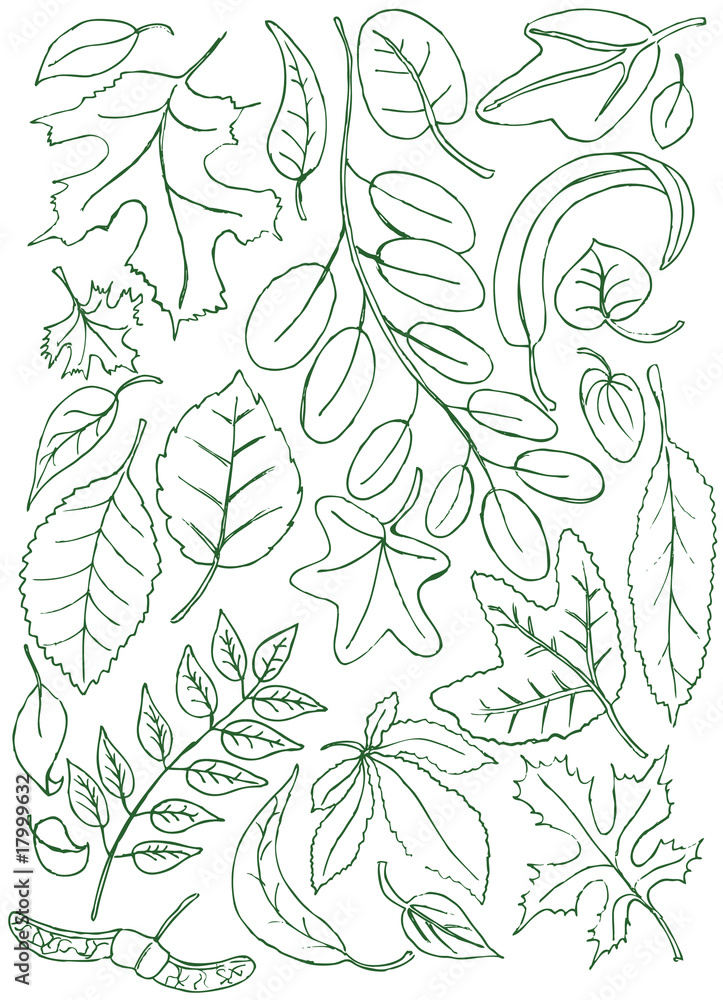 Leaves doodles Leaves doodles