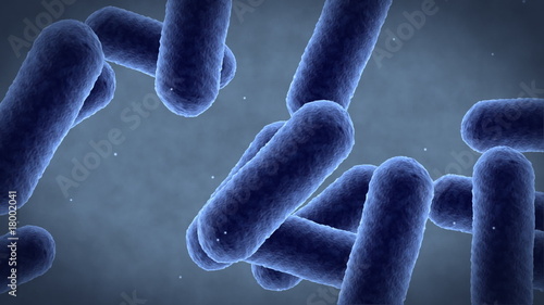 Detailed footage of bacteria