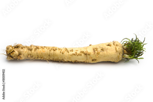Canvastavla horseradish