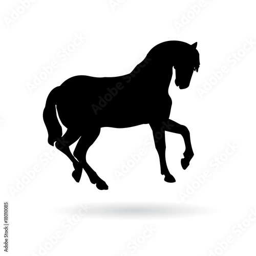 vector pure breed horse silhouette