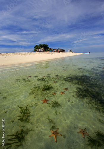 Starfish Island photo