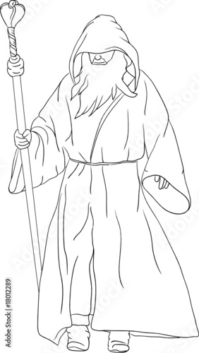 vector - druid isolated on background