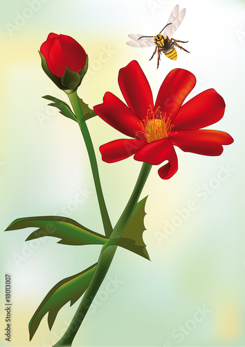 red field flower and bee