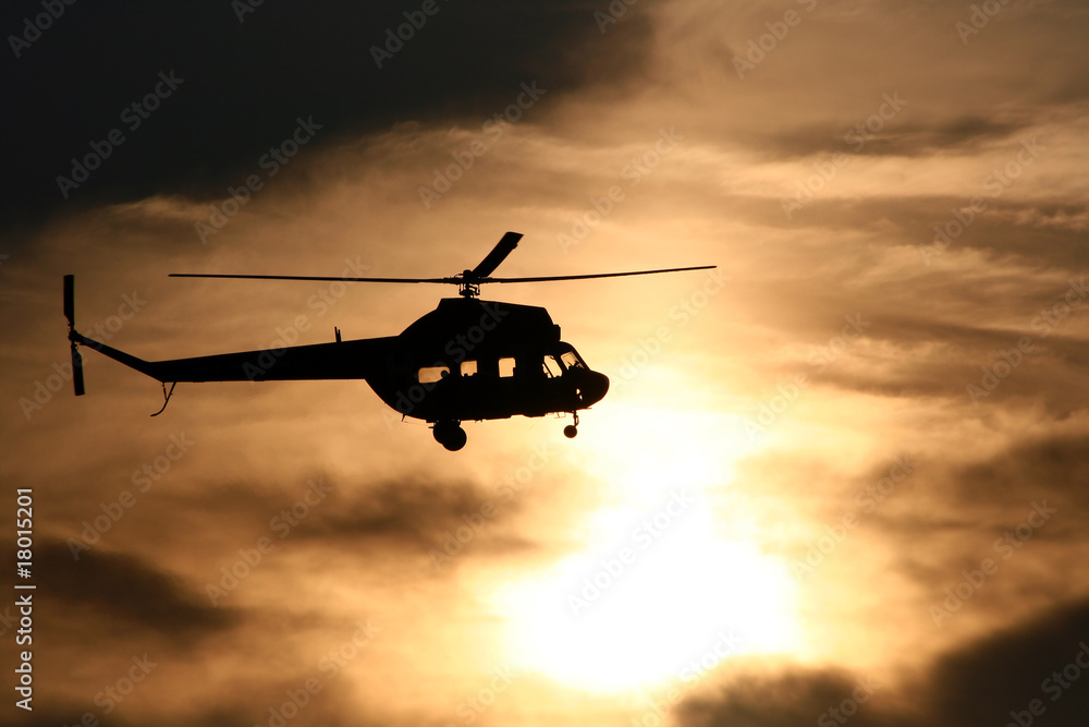 The helicopter The helicopter
