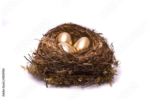 Gold eggs in a nest